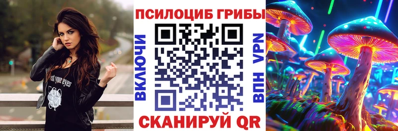 Псилоцибиновые грибы мухоморы  дарнет шоп  Оренбург 