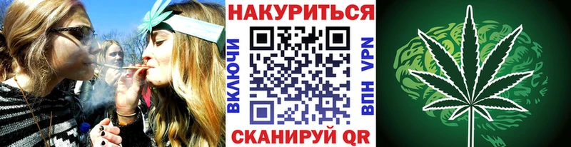 закладка Оренбург Бошки марихуана SATIVA & INDICA